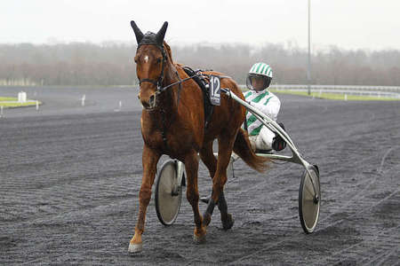 Actualités Hippiques